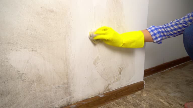 Best Residential Mold Inspection & Testing  in Beach, ND