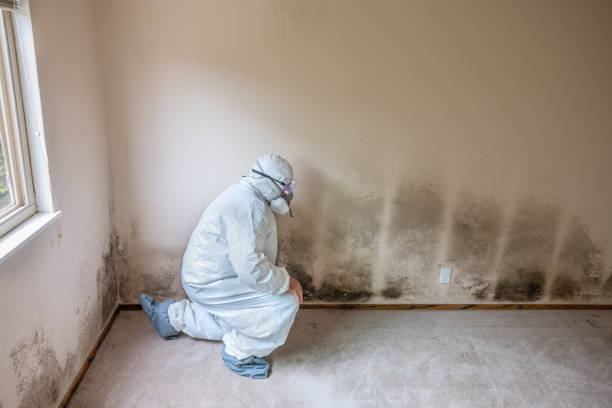 Best HVAC Mold Inspection and Cleaning  in Beach, ND